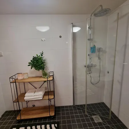 Central Apartment Alesund *