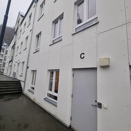 Central Apartment Alesund شقة Ålesund