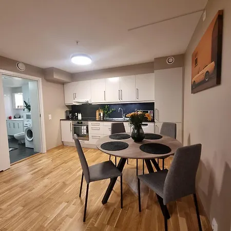 Central Apartment Alesund *